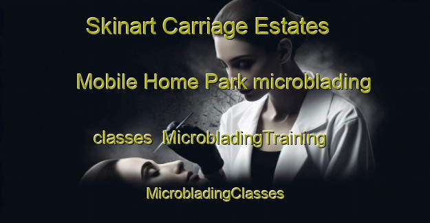 Skinart Carriage Estates Mobile Home Park microblading classes | #MicrobladingTraining #MicrobladingClasses #SkinartTraining-United States