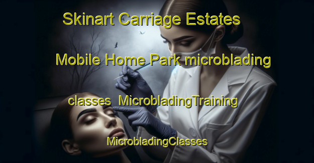 Skinart Carriage Estates Mobile Home Park microblading classes | #MicrobladingTraining #MicrobladingClasses #SkinartTraining-United States