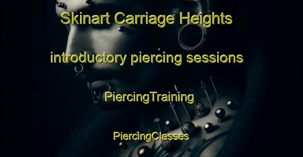 Skinart Carriage Heights introductory piercing sessions | #PiercingTraining #PiercingClasses #SkinartTraining-United States