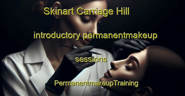 Skinart Carriage Hill introductory permanentmakeup sessions | #PermanentmakeupTraining #PermanentmakeupClasses #SkinartTraining-United States