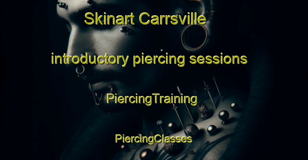 Skinart Carrsville introductory piercing sessions | #PiercingTraining #PiercingClasses #SkinartTraining-United States