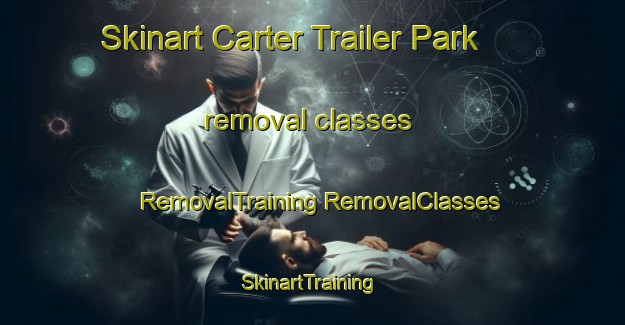 Skinart Carter Trailer Park removal classes | #RemovalTraining #RemovalClasses #SkinartTraining-United States