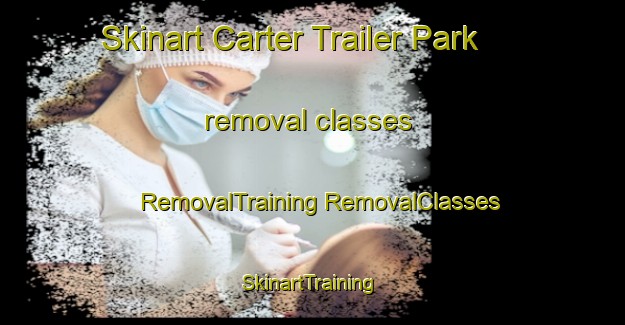 Skinart Carter Trailer Park removal classes | #RemovalTraining #RemovalClasses #SkinartTraining-United States