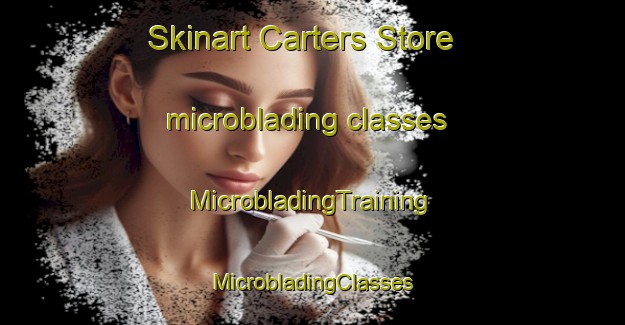 Skinart Carters Store microblading classes | #MicrobladingTraining #MicrobladingClasses #SkinartTraining-United States