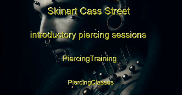 Skinart Cass Street introductory piercing sessions | #PiercingTraining #PiercingClasses #SkinartTraining-United States