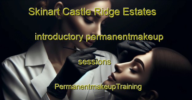 Skinart Castle Ridge Estates introductory permanentmakeup sessions | PermanentmakeupTraining | PermanentmakeupClasses | SkinartTraining-United States