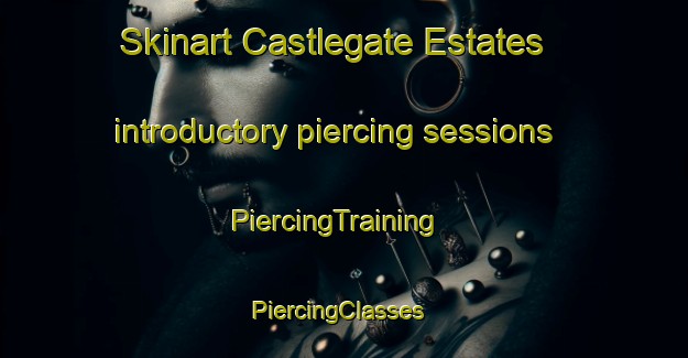 Skinart Castlegate Estates introductory piercing sessions | PiercingTraining | PiercingClasses | SkinartTraining-United States