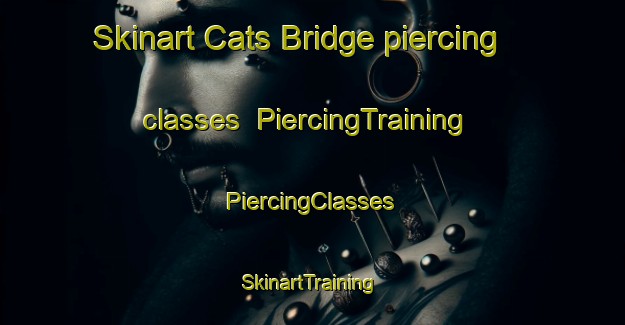 Skinart Cats Bridge piercing classes | #PiercingTraining #PiercingClasses #SkinartTraining-United States