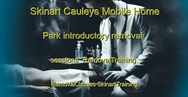 Skinart Cauleys Mobile Home Park introductory removal sessions | #RemovalTraining #RemovalClasses #SkinartTraining-United States