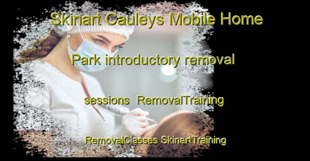 Skinart Cauleys Mobile Home Park introductory removal sessions | #RemovalTraining #RemovalClasses #SkinartTraining-United States