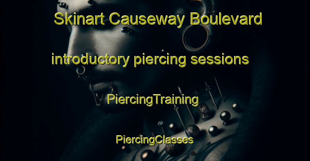 Skinart Causeway Boulevard introductory piercing sessions | #PiercingTraining #PiercingClasses #SkinartTraining-United States