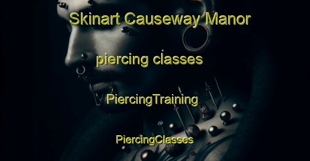 Skinart Causeway Manor piercing classes | #PiercingTraining #PiercingClasses #SkinartTraining-United States