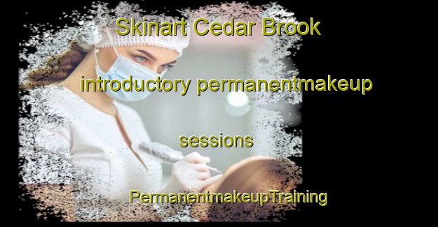 Skinart Cedar Brook introductory permanentmakeup sessions | #PermanentmakeupTraining #PermanentmakeupClasses #SkinartTraining-United States