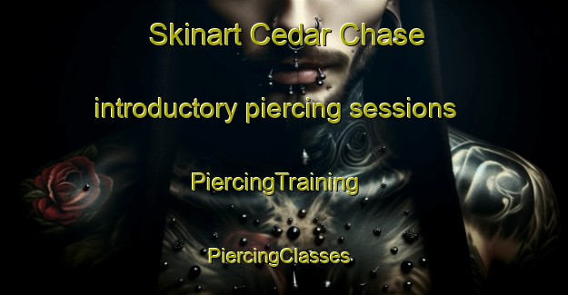 Skinart Cedar Chase introductory piercing sessions | PiercingTraining | PiercingClasses | SkinartTraining-United States