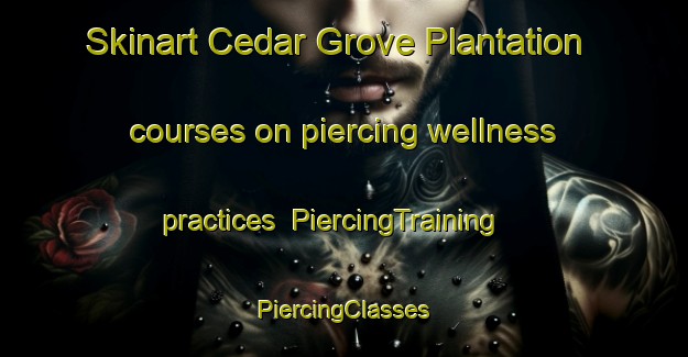 Skinart Cedar Grove Plantation courses on piercing wellness practices | #PiercingTraining #PiercingClasses #SkinartTraining-United States