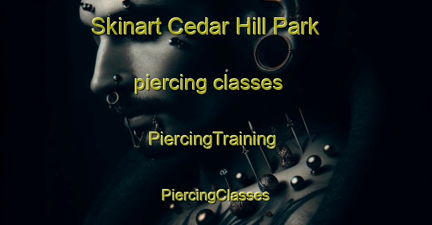 Skinart Cedar Hill Park piercing classes | #PiercingTraining #PiercingClasses #SkinartTraining-United States