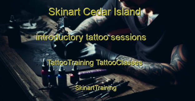 Skinart Cedar Island introductory tattoo sessions | #TattooTraining #TattooClasses #SkinartTraining-United States