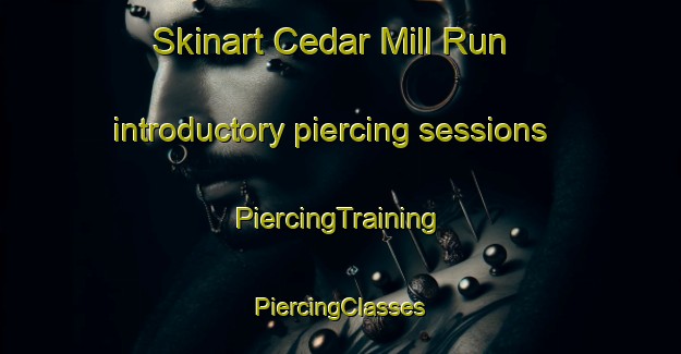 Skinart Cedar Mill Run introductory piercing sessions | #PiercingTraining #PiercingClasses #SkinartTraining-United States