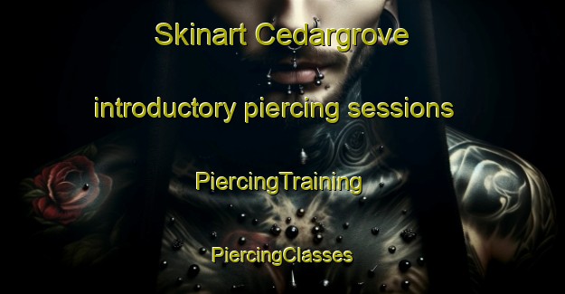 Skinart Cedargrove introductory piercing sessions | #PiercingTraining #PiercingClasses #SkinartTraining-United States