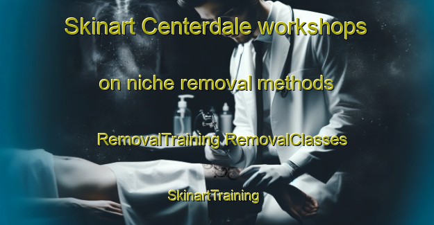 Skinart Centerdale workshops on niche removal methods | #RemovalTraining #RemovalClasses #SkinartTraining-United States