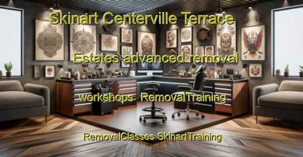 Skinart Centerville Terrace Estates advanced removal workshops | #RemovalTraining #RemovalClasses #SkinartTraining-United States