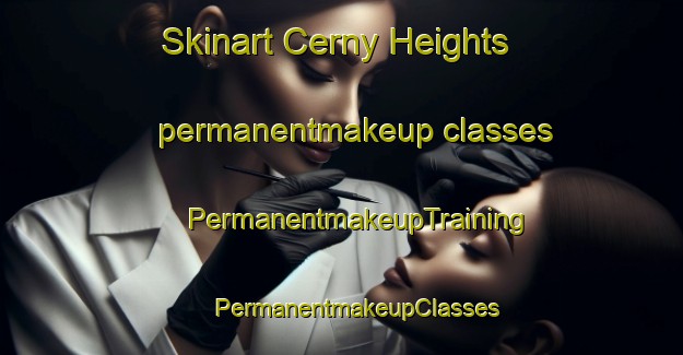 Skinart Cerny Heights permanentmakeup classes | #PermanentmakeupTraining #PermanentmakeupClasses #SkinartTraining-United States