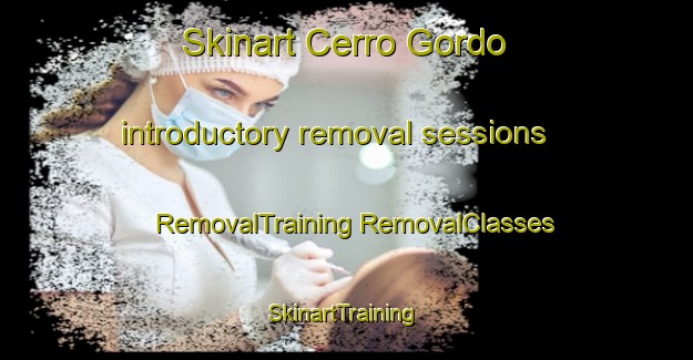 Skinart Cerro Gordo introductory removal sessions | #RemovalTraining #RemovalClasses #SkinartTraining-United States