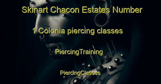 Skinart Chacon Estates Number 1 Colonia piercing classes | #PiercingTraining #PiercingClasses #SkinartTraining-United States