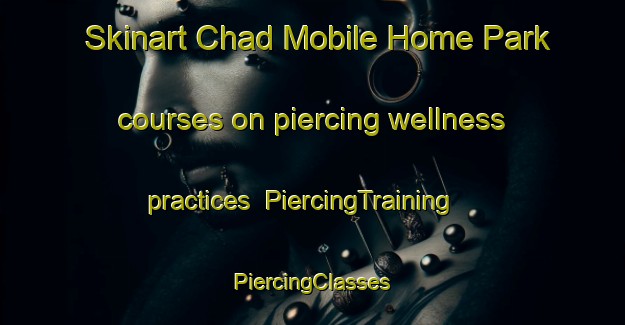 Skinart Chad Mobile Home Park courses on piercing wellness practices | #PiercingTraining #PiercingClasses #SkinartTraining-United States