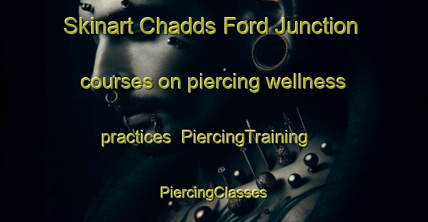 Skinart Chadds Ford Junction courses on piercing wellness practices | #PiercingTraining #PiercingClasses #SkinartTraining-United States