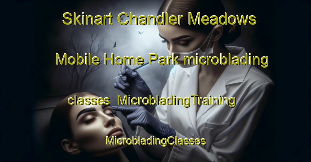 Skinart Chandler Meadows Mobile Home Park microblading classes | #MicrobladingTraining #MicrobladingClasses #SkinartTraining-United States