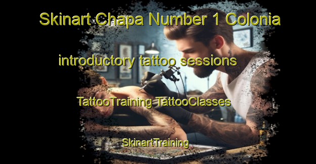 Skinart Chapa Number 1 Colonia introductory tattoo sessions | #TattooTraining #TattooClasses #SkinartTraining-United States