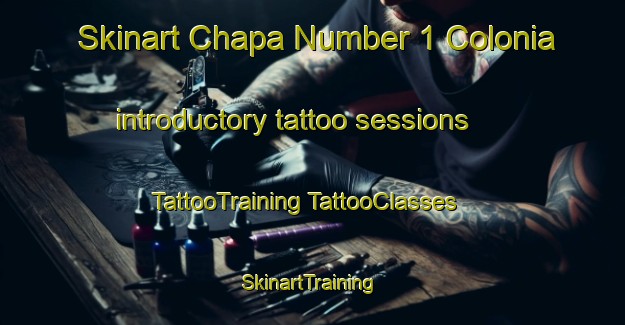 Skinart Chapa Number 1 Colonia introductory tattoo sessions | #TattooTraining #TattooClasses #SkinartTraining-United States