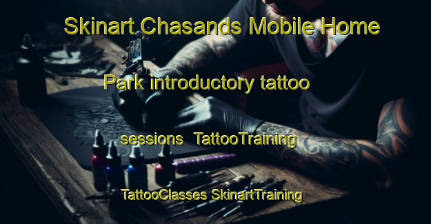 Skinart Chasands Mobile Home Park introductory tattoo sessions | #TattooTraining #TattooClasses #SkinartTraining-United States