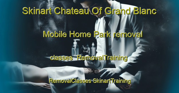 Skinart Chateau Of Grand Blanc Mobile Home Park removal classes | #RemovalTraining #RemovalClasses #SkinartTraining-United States