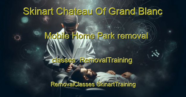 Skinart Chateau Of Grand Blanc Mobile Home Park removal classes | #RemovalTraining #RemovalClasses #SkinartTraining-United States