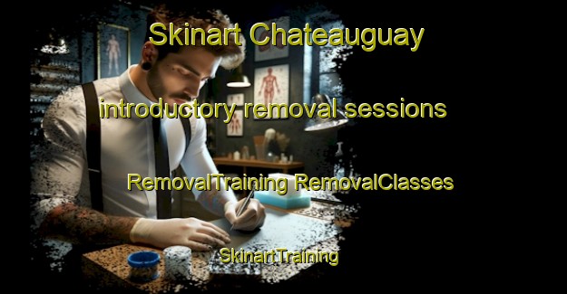 Skinart Chateauguay introductory removal sessions | #RemovalTraining #RemovalClasses #SkinartTraining-United States