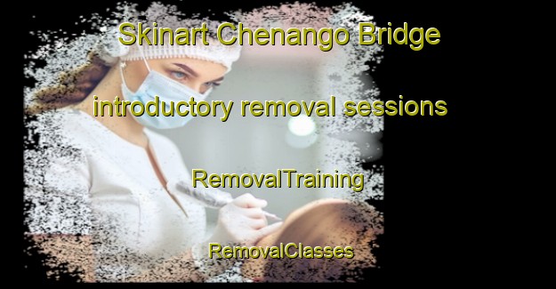 Skinart Chenango Bridge introductory removal sessions | RemovalTraining | RemovalClasses | SkinartTraining-United States