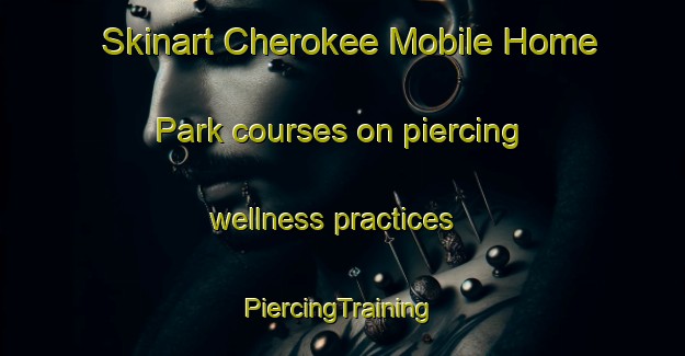 Skinart Cherokee Mobile Home Park courses on piercing wellness practices | #PiercingTraining #PiercingClasses #SkinartTraining-United States