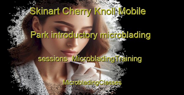 Skinart Cherry Knoll Mobile Park introductory microblading sessions | #MicrobladingTraining #MicrobladingClasses #SkinartTraining-United States