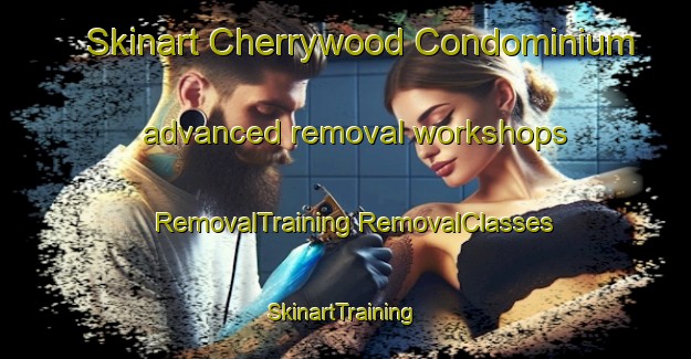 Skinart Cherrywood Condominium advanced removal workshops | #RemovalTraining #RemovalClasses #SkinartTraining-United States