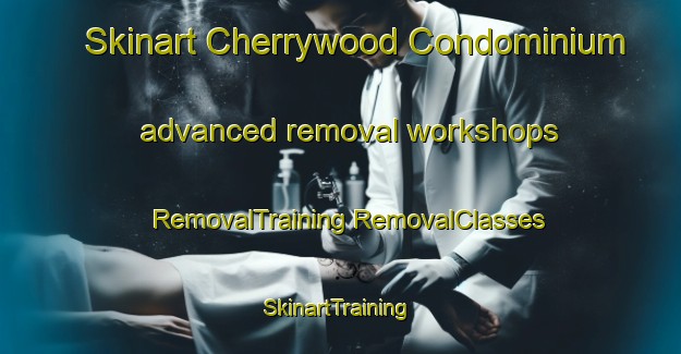 Skinart Cherrywood Condominium advanced removal workshops | #RemovalTraining #RemovalClasses #SkinartTraining-United States