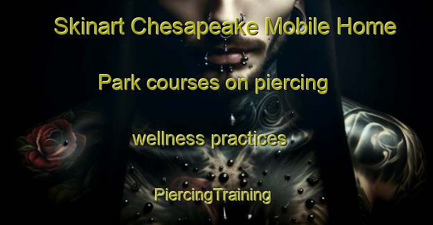 Skinart Chesapeake Mobile Home Park courses on piercing wellness practices | #PiercingTraining #PiercingClasses #SkinartTraining-United States