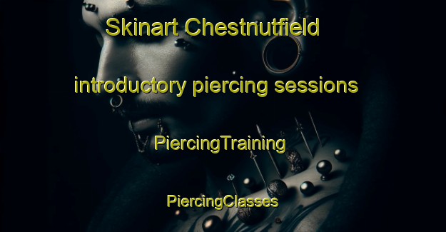 Skinart Chestnutfield introductory piercing sessions | #PiercingTraining #PiercingClasses #SkinartTraining-United States