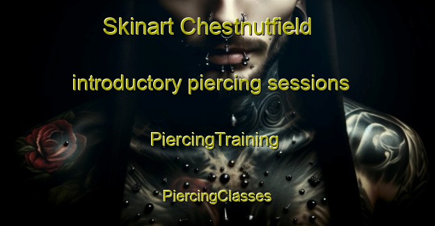 Skinart Chestnutfield introductory piercing sessions | #PiercingTraining #PiercingClasses #SkinartTraining-United States