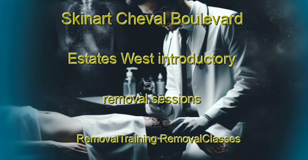 Skinart Cheval Boulevard Estates West introductory removal sessions | #RemovalTraining #RemovalClasses #SkinartTraining-United States