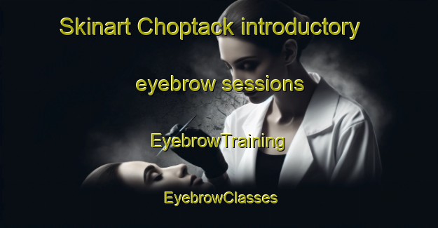 Skinart Choptack introductory eyebrow sessions | EyebrowTraining | EyebrowClasses | SkinartTraining-United States