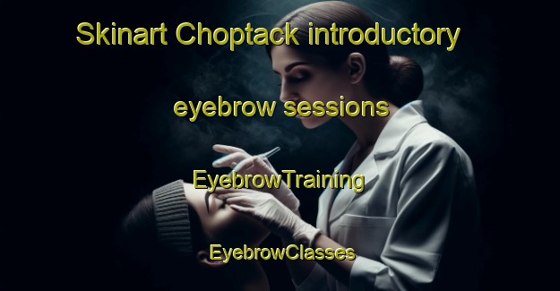 Skinart Choptack introductory eyebrow sessions | EyebrowTraining | EyebrowClasses | SkinartTraining-United States