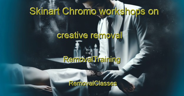 Skinart Chromo workshops on creative removal | RemovalTraining | RemovalClasses | SkinartTraining-United States