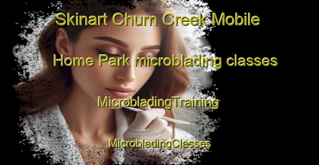 Skinart Churn Creek Mobile Home Park microblading classes | #MicrobladingTraining #MicrobladingClasses #SkinartTraining-United States